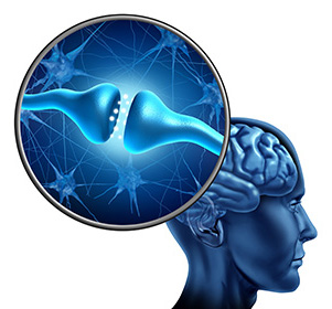 Training for the Brain